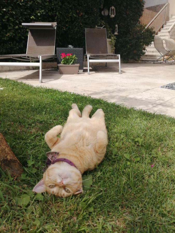 Casa Vacanze Vobarno Bagian luar foto